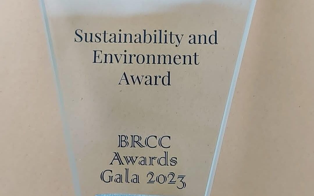 Fabrica de hârtie DS Smith din Zărnești a primit premiul pentru Sustenabilitate și Mediu din partea Camerei de Comerț Româno – Britanice